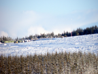 21--Dec-2010-004.png