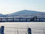 21--Dec-2010-006.png